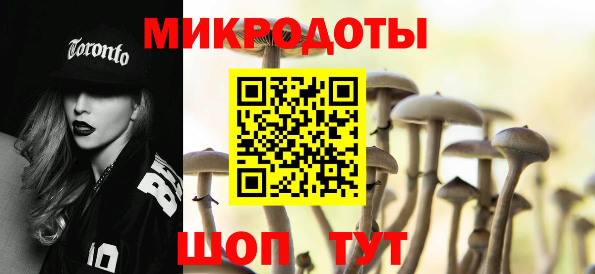 Галлюциногенные грибы GOLDEN TEACHER  Вход с VPN  дарнет шоп  Галлюциногенные грибы ЛСД  Новокуйбышевск 